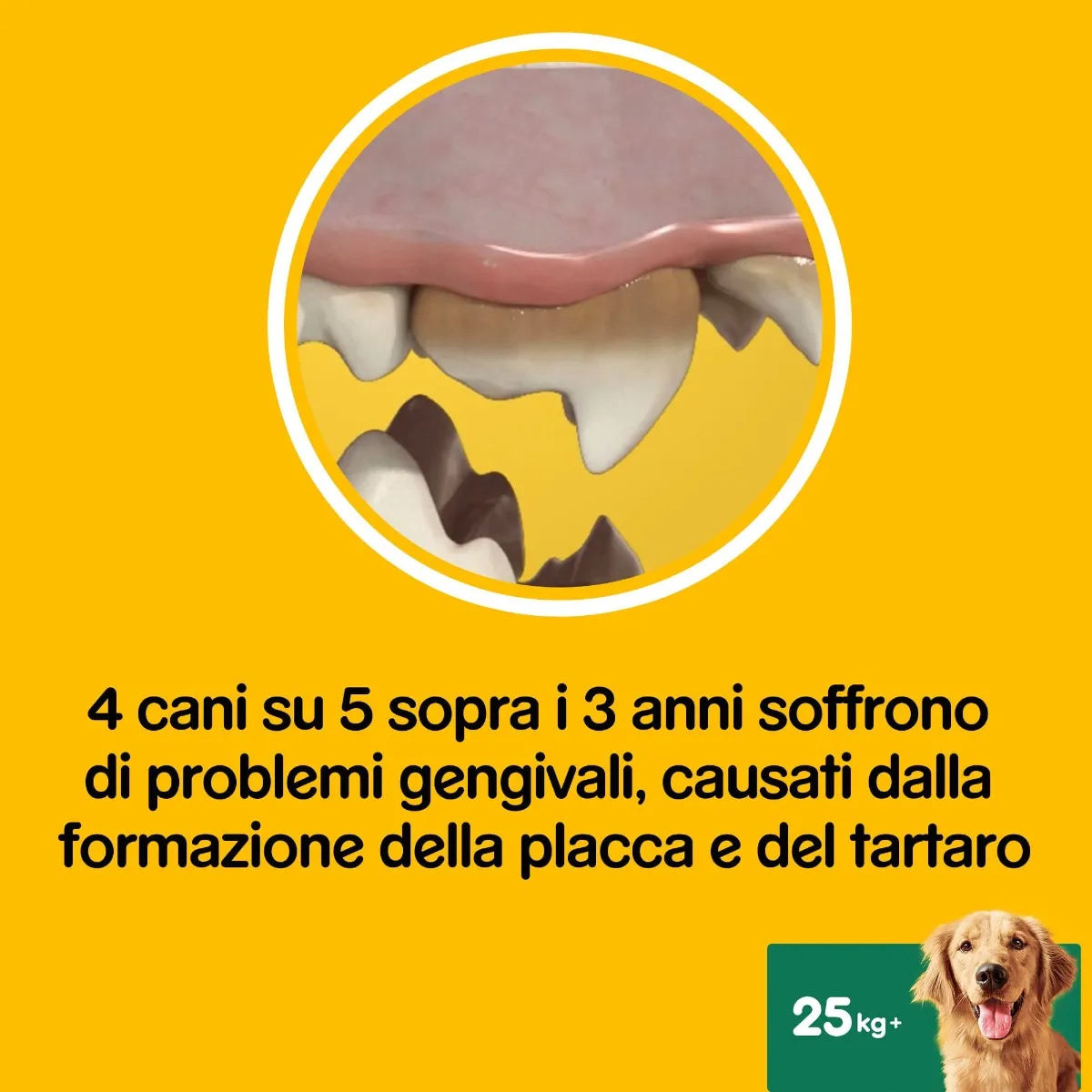 Pedigree Dentastix Fresh Large 21pz – Cani di Taglia oltre 25kg Pedigree Dentastix Fresh Large 21pz – Cani di Taglia oltre 25kg